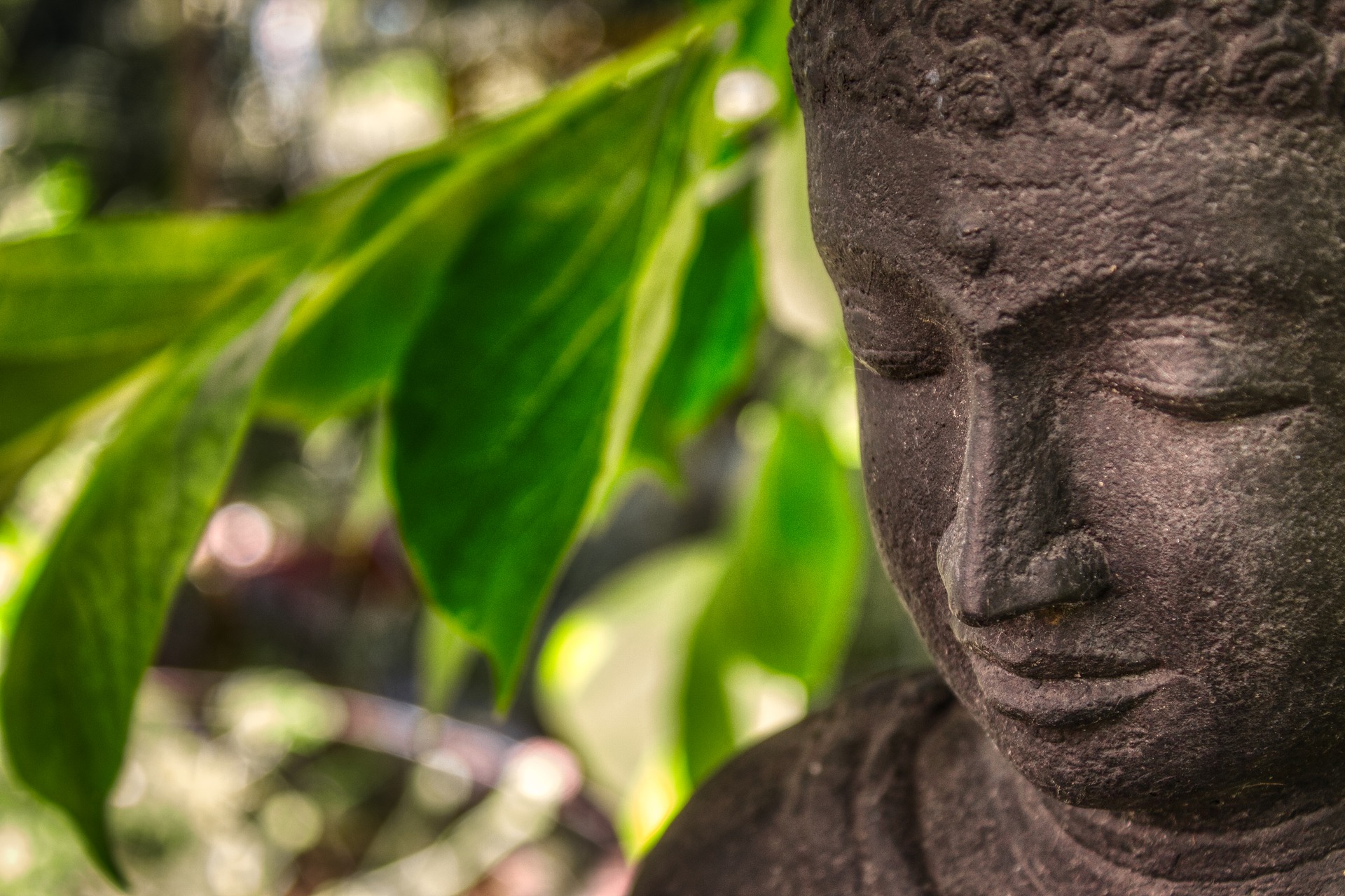 buddha-5129800_1920